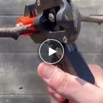 Nůžky na snadné stříhání a roubování – video