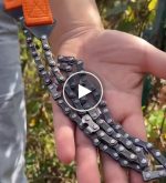 Přenosná ruční řetězová pila – video