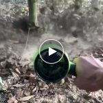 Brixon AKU Výkonný mini fukar + Náhradní baterie (2ks, 4Ah) – video